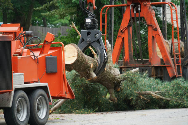 Best Commercial Tree Services  in Tunkhannock, PA