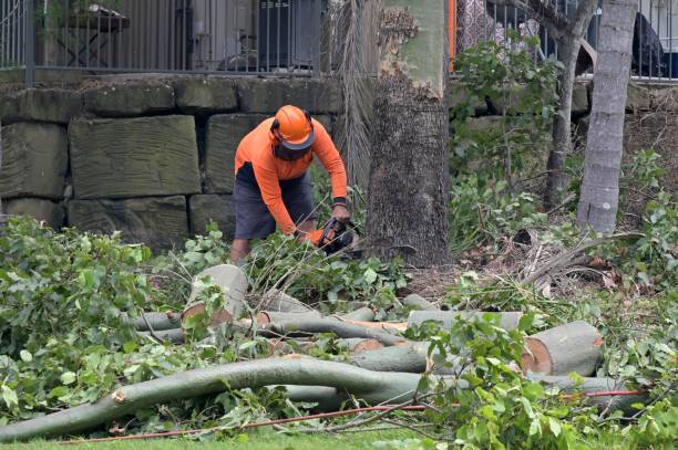 Best Hazardous Tree Removal  in Tunkhannock, PA